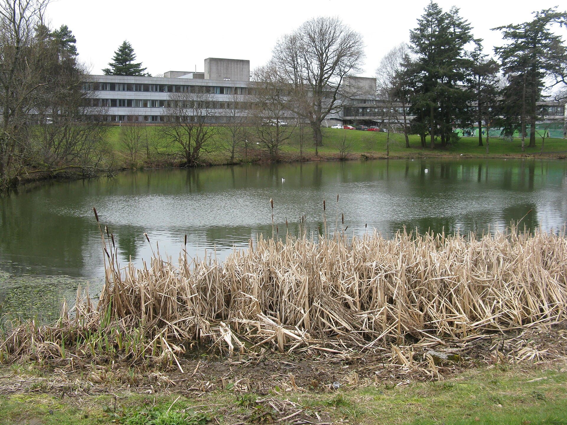 The University of Stirling campus seen across Airthrey Loch